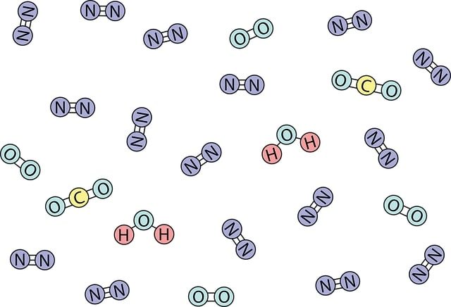 Carbon can forms stable covalent bonds with O, N and H