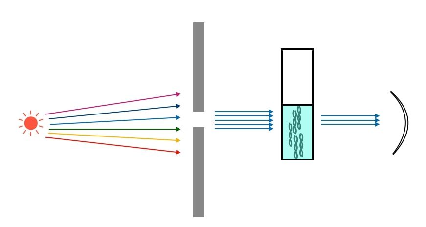 Spectrophotometer uses specific wavelength to estimate biomolecules concentration.