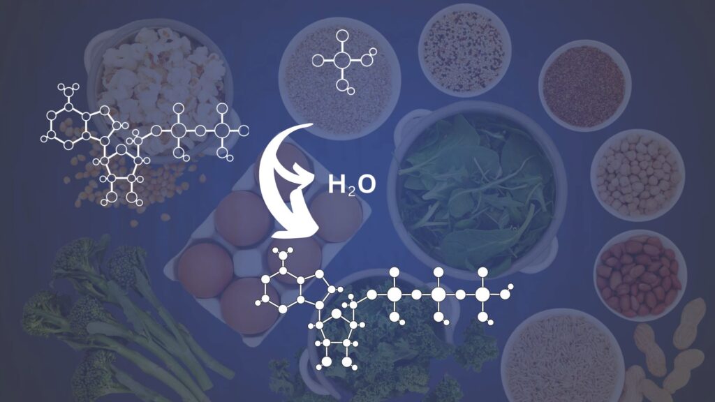 Oxidative phosphorylation MCQs