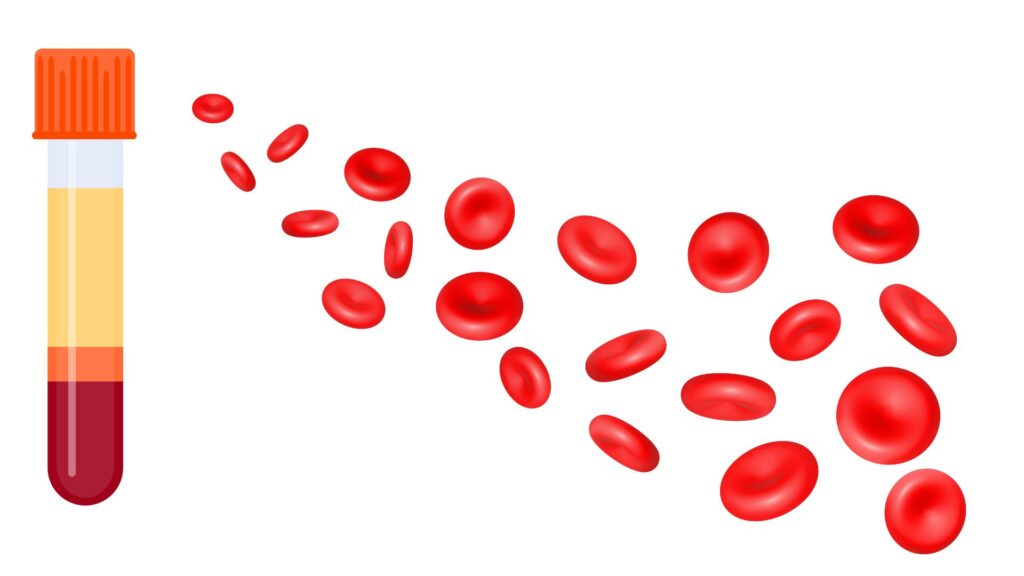 Human Physiology 2 - Blood cells MCQs